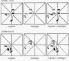 Dalü-Partnerübung: Schrittdiagramm nach Fu Zhongwen, Yang-Stil-Taijiquan