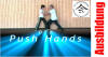 Qigong Tai Chi Ausbildung mit Push Hands / Tuishou - Blockmodule mit Dr. Stephan Langhoff
