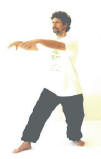 Qi Gong Dachverband: Lehrmaterial Dr. Langhoff